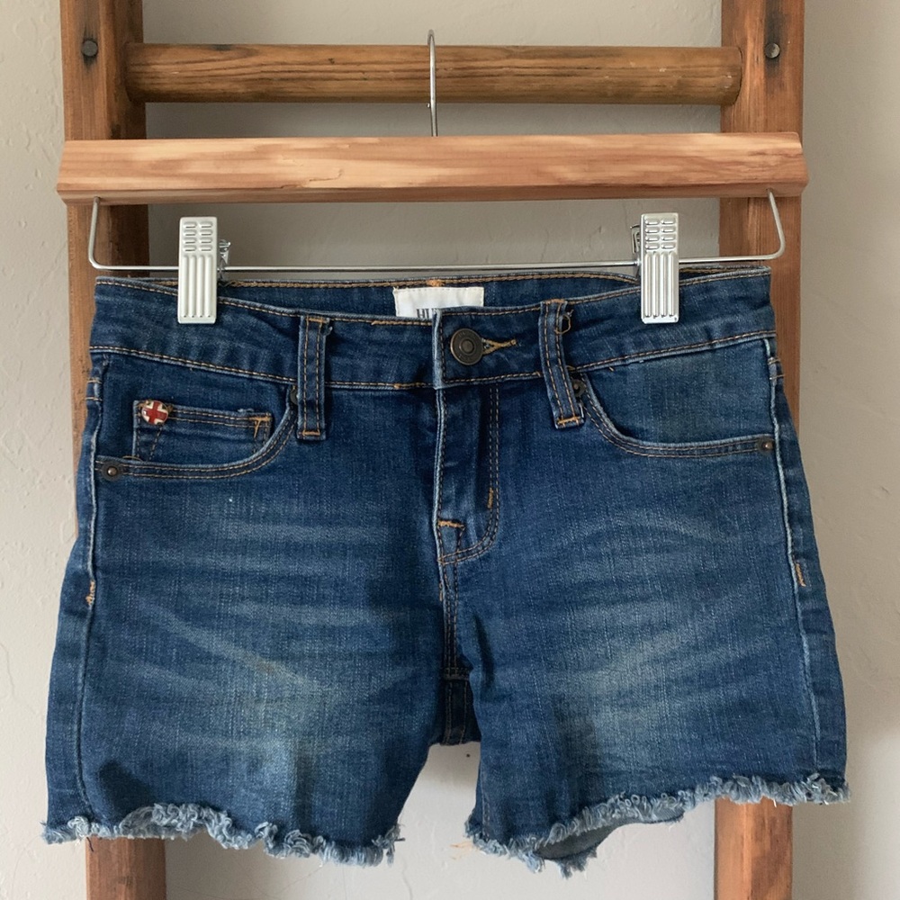 Hudson shorts
